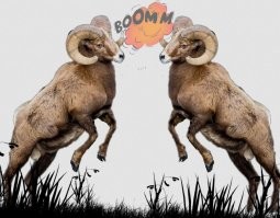 Зачем он так сделал?