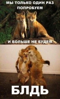 Первый и последний стакан