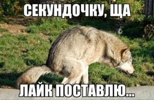 В Мексике умер внук Льва Троцкого