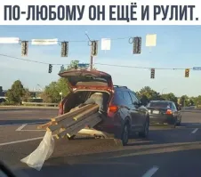 Фотоприколы и&nbsp;прикольные картинки