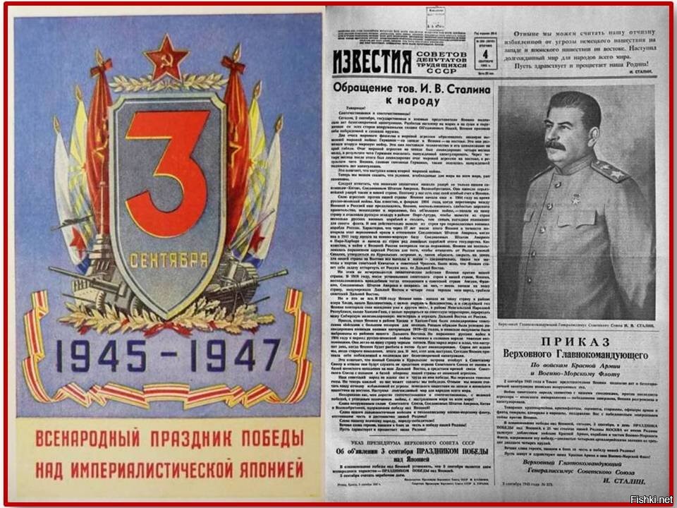 Что такое проект закона