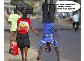 Фотоприколы и&nbsp;прикольные картинки