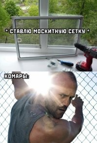 Это не комары здоровые, это сетка не от того окна, дебил
