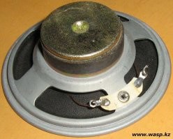 Меня одного смутило, что рентгеновские лучи просвечивают металл корпуса динамика и магнит?