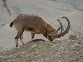 Фотоподборка