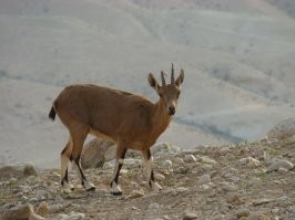 Фотоподборка