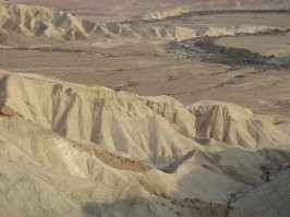 Фотоподборка