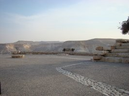 Животинки и местность ну очень напоминают "землю обетованную".



Там такие же попадались, в районе могилы Бен-Гуриона: