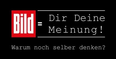 Немцы иронизируют. 

Сформируй собственное мнение.
Зачем ещё думать самому?

Игра слов.
Bild - изображение, картинка. bilden - (глагол) формировать, образовывать.