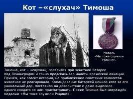 Скромная и мужественная героиня Фэйт