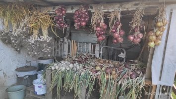 Дом под Полтавой, прям на месте Полтавской битвы (село Побаванка) внутри обычный дом 1980 года постройки. Родительский дом. Особенностей нет. Есть память, есть земля. Помним, трудимся, отдыхаем.