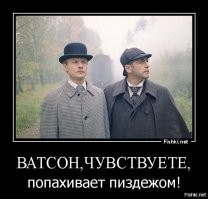 Парень прошёл проверку на лучшего друга