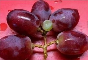 Продолжаем барражировать соцсети