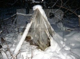 Не всем так везёт: совершить глупость и быть спасёнными.