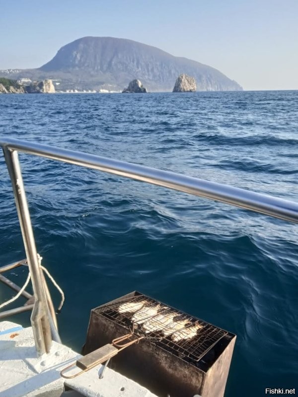Да сколько там этой рыбы. На один заход тем же мужикам в лодке. 
В Крыму ловят и там же на борту готовят и с пивком.