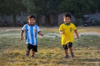 Хронология не выдержана... Примерно так:
Посадили

Собрали

Вырастили