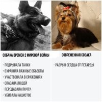 19 ярких сравнений, которые помогут понять, что наш мир полон неожиданных сюрпризов