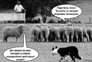 Обрати внимание на темы про аварии и найди в них фамилии участников. Сможешь такое?
На сколько я могу вспомнить, почти нигде не упоминаются фамилии. Обычно пишут "водитель такой-то машины" и в таком же духе.
Почему фамилию водителя машины назвали, а фамилию велосипедиста нет, ограничились именем?
В предыдущих постах автора, тоже не упоминает фамилии.
Обычно фамилии участников ДТП фигурируют если это какие-то знаменитости, а тут сотрудник ГИБДД.
Кстати про фантазии, как раз у дизлайкнувших фантазия очень сильно разыгралась, прям до жопной боли, может я имел в виду Стрелка из игры сталкер)))