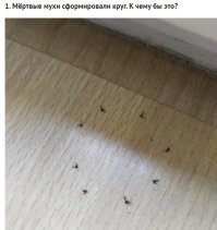 Аналогично. Кому-то нехер делать