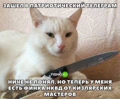 Это китайский кухонник...