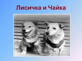 "Однако именно про Лайку в СССР старались не вспоминать..."
Про Лайку хотя бы что-то сообщали,я знал о ней ещё в школьные годы. А вот кого действительно не упоминали - это про Чайку и Лисичку, которые должны были стать вторым собачьим экипажем и у них на корабле даже был посадочный модуль. Но на 19-й секунде полёта корабль взорвался. 
Так что Белка и Стрелка, ставшие первыми вернувшимися из космоса, были уже третьим экипажем.