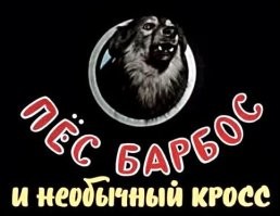 Лучшие животные киноиндустрии и их заслуженная награда