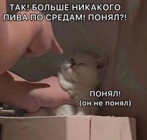 Алкопост на&nbsp;вечер этой пятницы