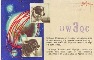 Летали, конечно. Более того, установили рекорд продолжительности полёта для собак -- 22 суток.