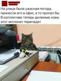 Судя по "дилемма", коллектив состоит из двух человек.