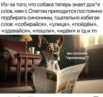 Фотоприколы и&nbsp;прикольные картинки