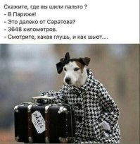 Как всегда, главный ориентир - Саратов...