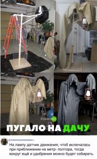 12 фотографий болотных монстров, которые поселились на топях Франции