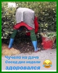 12 фотографий болотных монстров, которые поселились на топях Франции