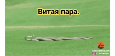Просто гифки, всякие и&nbsp;разные