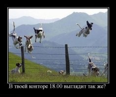 Летние демотиваторы