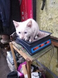 С&nbsp;добрым утром