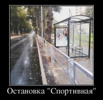 25 необычных и симпатичных автобусных остановок со всего мира