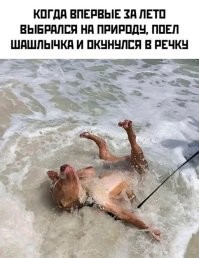 А афтар дебил и морюшко от речки отлечить не может. А вот собане зачет.