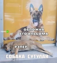 Скрины из соцсетей&nbsp;