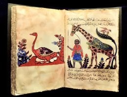 "Золотой век ислама"...и Аллах был не против изображений людей и животных.
А потом похоже кому-то моча стукнула в голову и появился запрет...