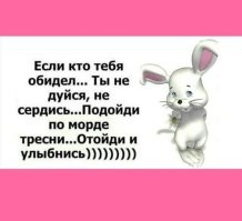 Йожика картинки