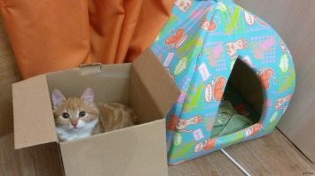 С одной стороны, конечно, да, но...