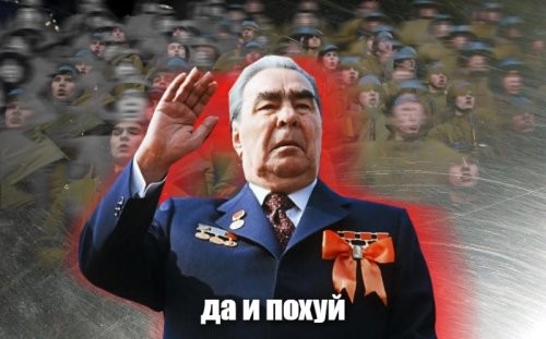 Обнулили: Вера Брежнева осталась без вида на жительство в РФ