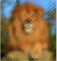 А что может снять "камера" за 4 евро!?