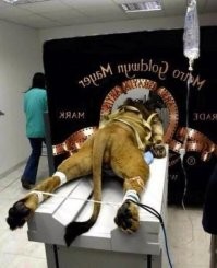 23. Постановочное фото. Настоящее вот: