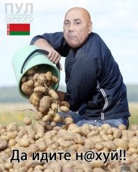 Цыплят по осени считают