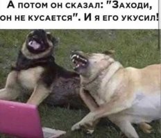 Смешные картинки с комментариями