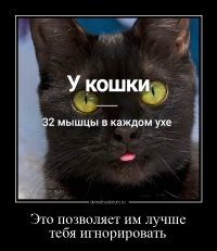 Зачем природа снабдила кошек карманами на ушах?