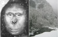 На Мона Лизу чем то похожа