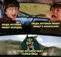 Фотоприколы и&nbsp;прикольные картинки